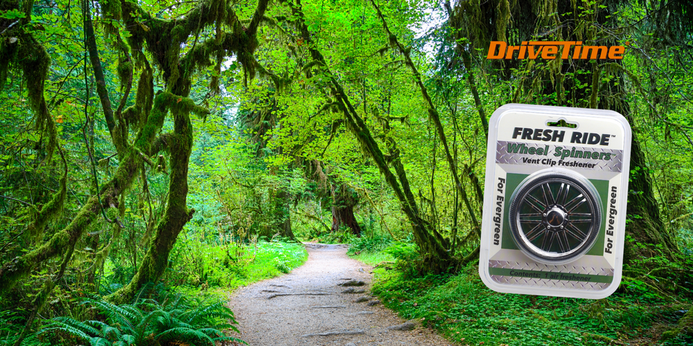 Where Shall We Go? The Rainforest of the Pacific Northwest