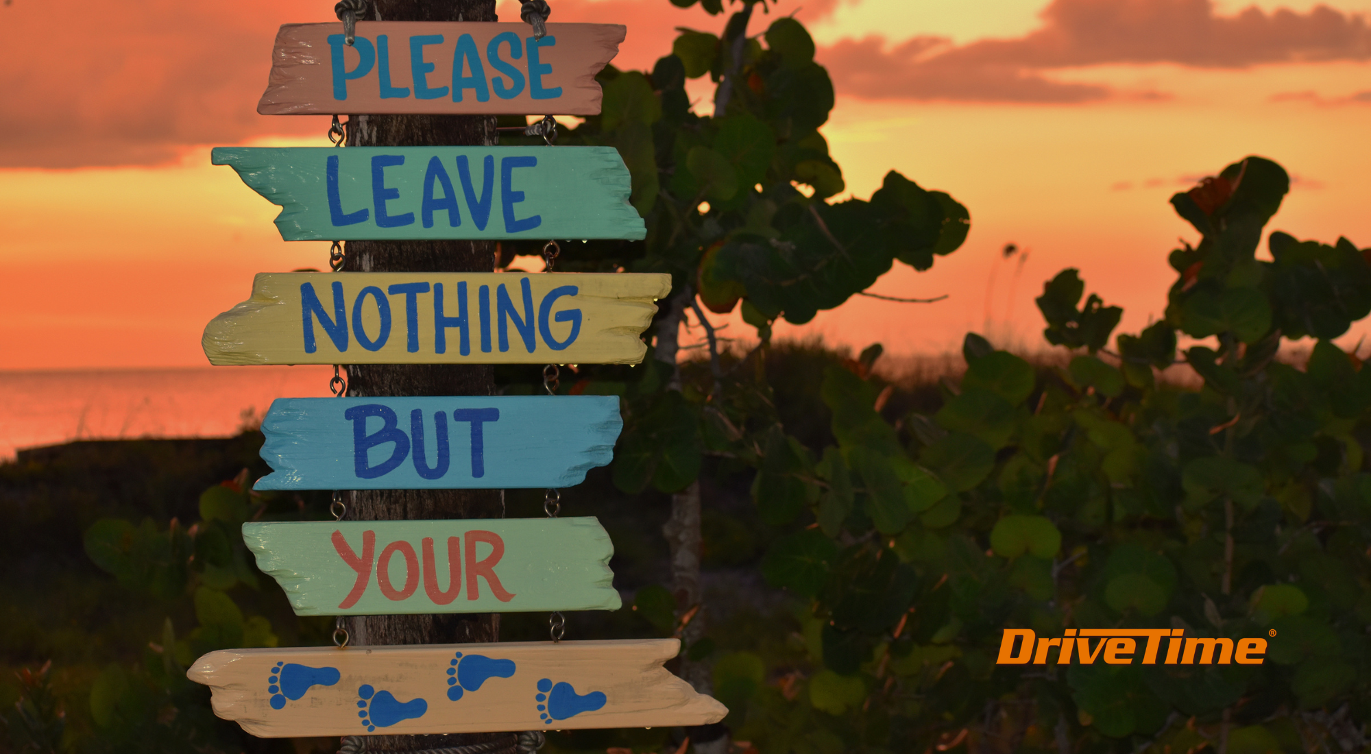 Where Shall We Go? Travel Fresh, Stay Responsible!