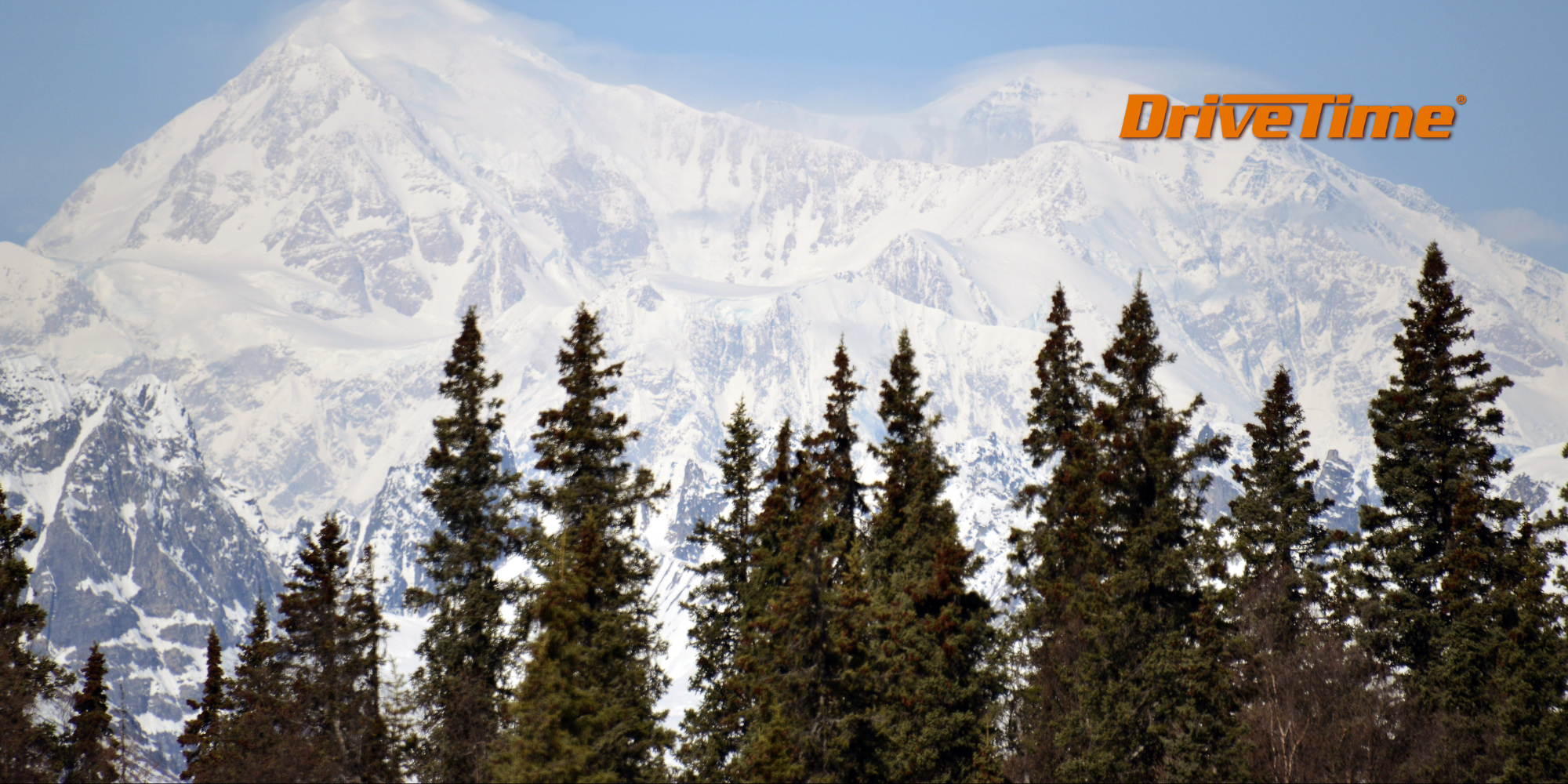 Where Shall We Go? Do Car Air Fresheners Really Work?